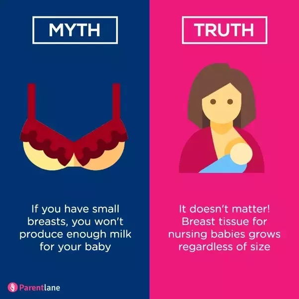 Breast Milk Myths - breast size determines how much milk I produce