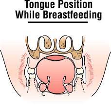 Tongue position while breastfeeding 